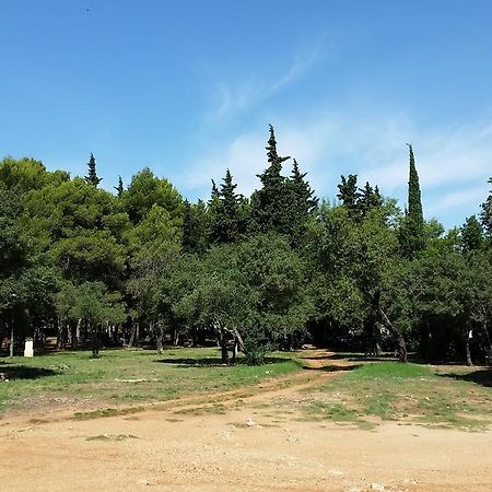 Bungalows Jurjevac 斯塔里格勒 外观 照片